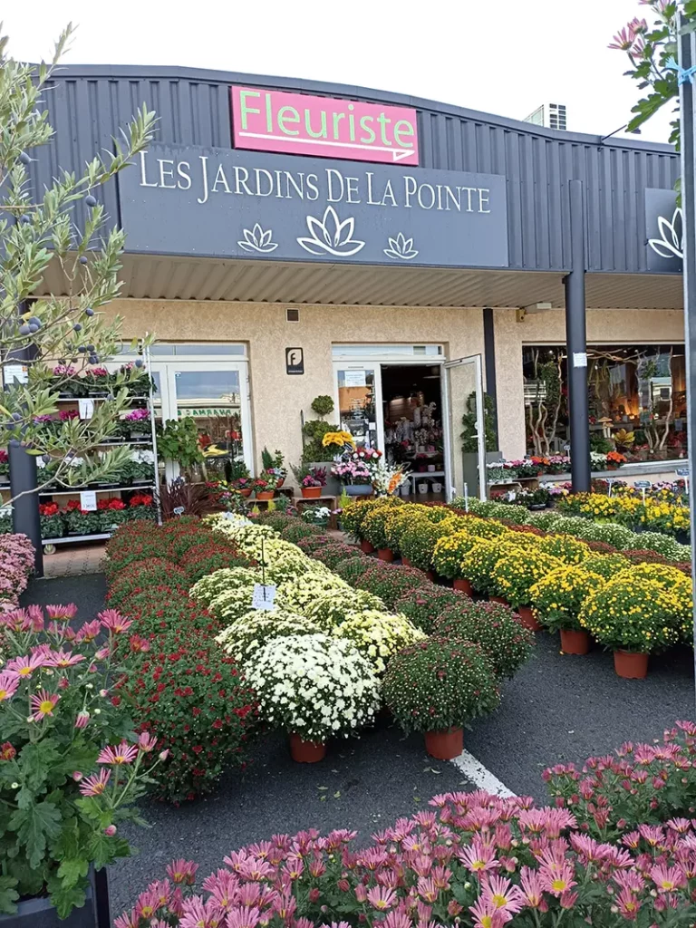 fleuriste toussaint tarn
